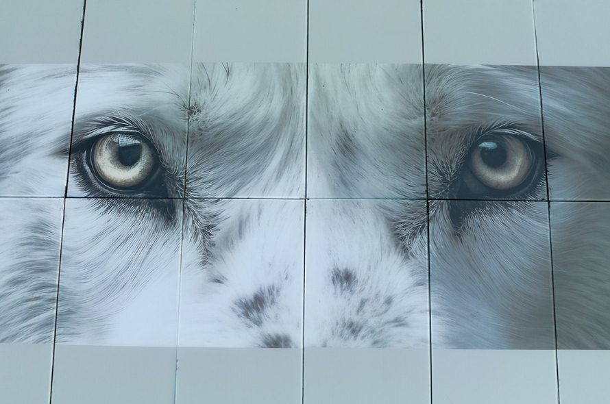 Switzerland Wolf Street BIPV demonstration project