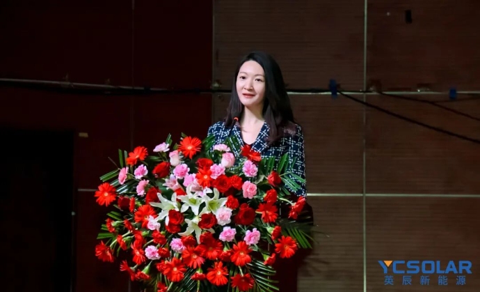 Yingli Group New Energy (Digital) Developers Conference