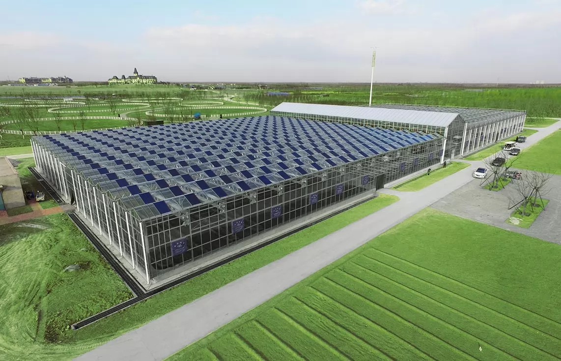 BIPV Spandrel Panel | Langfang Luneng Eco-city Modern Agriculture Park