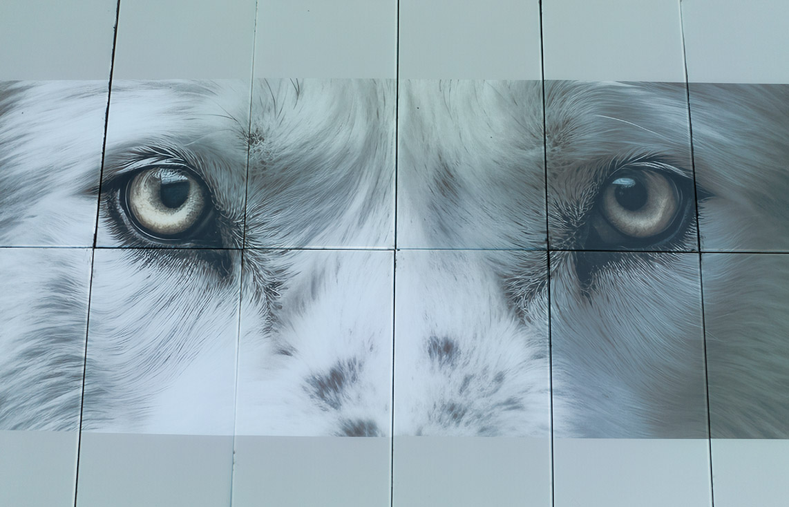 Swiss Wolf neighborhood BIPV demonstration project