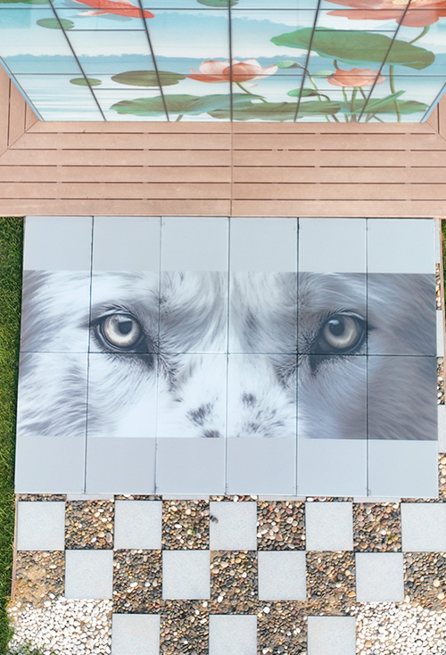 Swiss Wolf neighborhood BIPV demonstration project
