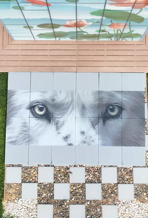 Swiss Wolf neighborhood BIPV demonstration project