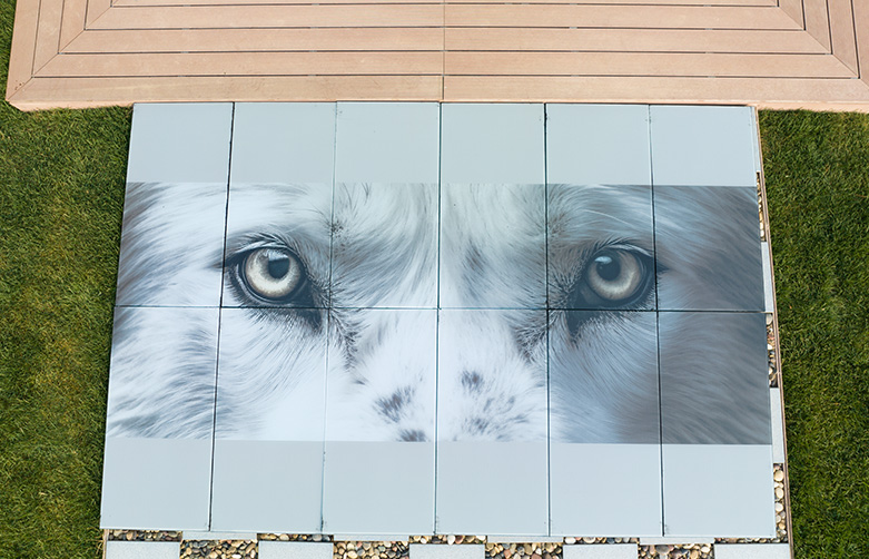 Swiss Wolf neighborhood BIPV demonstration project