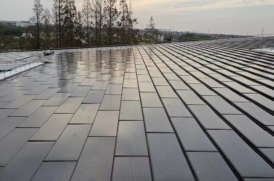Global Solar Roof Tiles Market Dynamics in 2025