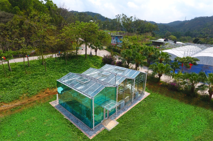 New progress in colored solar roof tiles: structural color solar glass