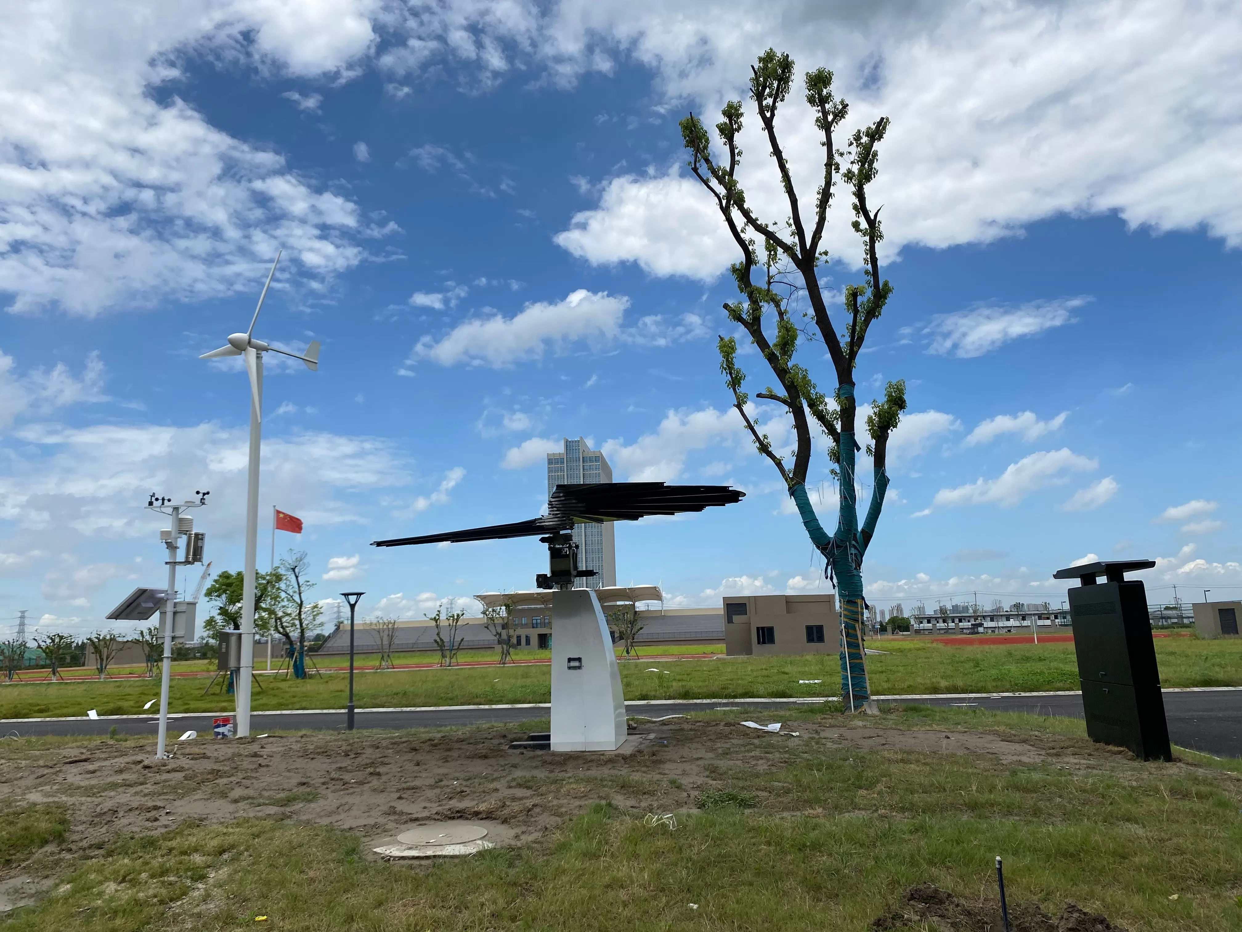 Sunflower Project at Hangzhou Zhongce Vocational School