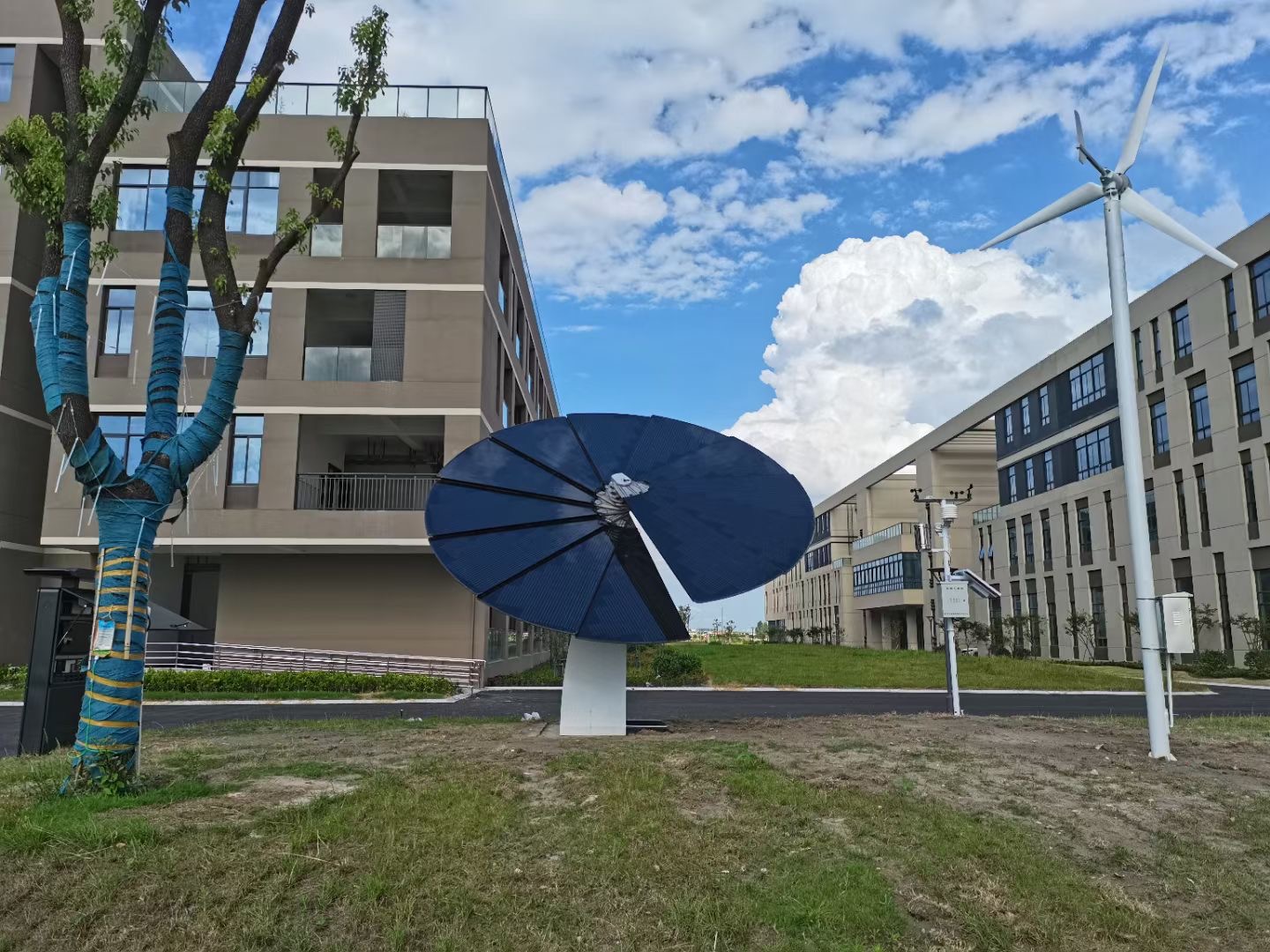 Sunflower Project at Hangzhou Zhongce Vocational School